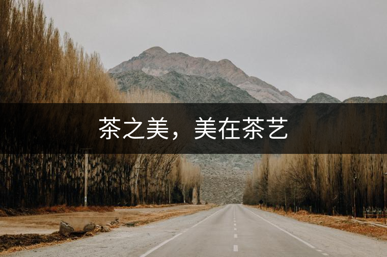 茶之美，美在茶藝