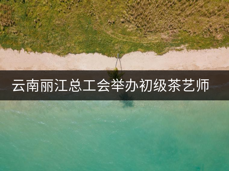 云南麗江總工會舉辦初級茶藝師培訓