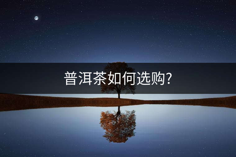 普洱茶如何選購(gòu)? 普洱茶如何選購(gòu)?