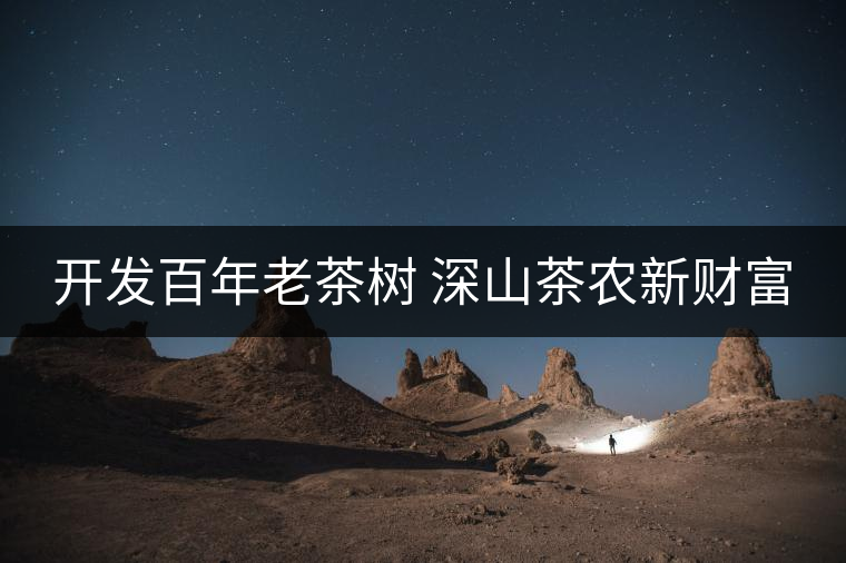 開發(fā)百年老茶樹 深山茶農(nóng)新財富 開發(fā)百年老茶樹 深山茶農(nóng)新財富