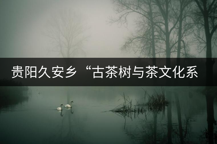 貴陽久安鄉(xiāng)“古茶樹與茶文化系統(tǒng)”入選中國重要文化遺產(chǎn) 貴陽久安鄉(xiāng)“古茶樹與茶文化系統(tǒng)”入選中國重要文化遺產(chǎn)