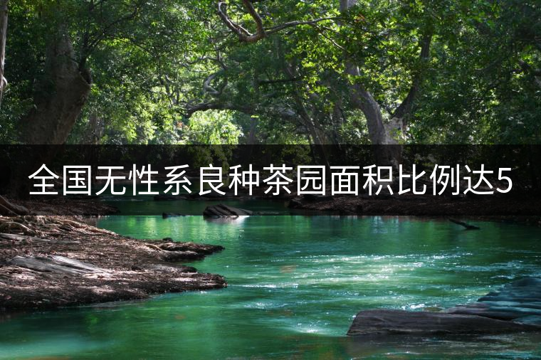 全國(guó)無性系良種茶園面積比例達(dá)56.5% 有機(jī)茶園6.2%