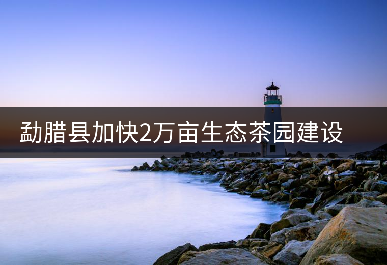 勐臘縣加快2萬畝生態(tài)茶園建設(shè)，促進(jìn)茶葉產(chǎn)業(yè)持續(xù)發(fā)展