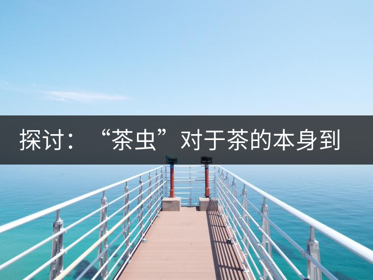 探討：“茶蟲”對于茶的本身到底是好是壞？