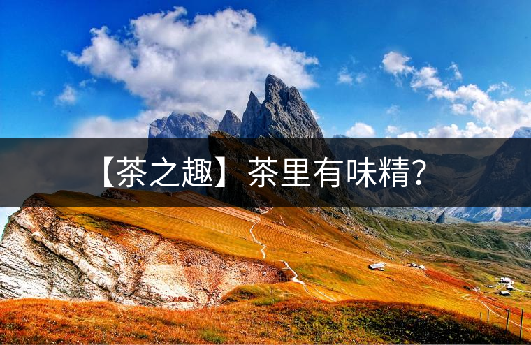 【茶之趣】茶里有味精？