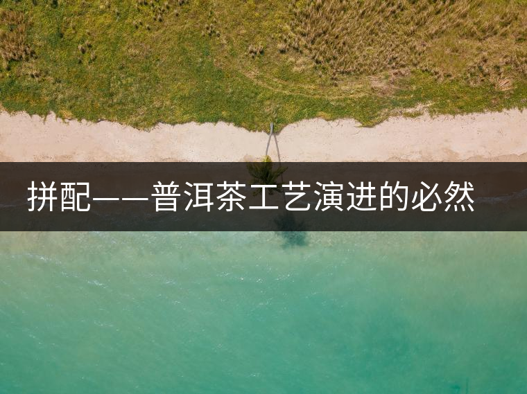 拼配——普洱茶工藝演進的必然方向