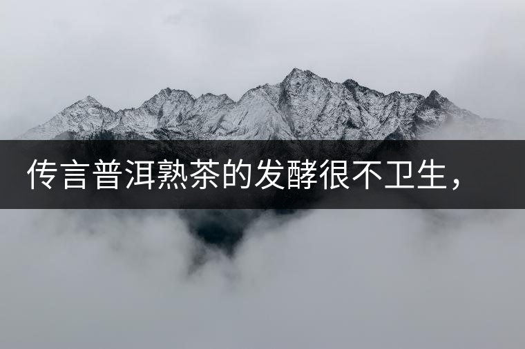 傳言普洱熟茶的發(fā)酵很不衛(wèi)生，是真的嗎？
