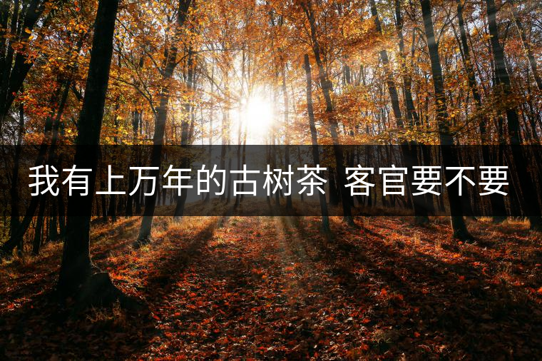 我有上萬年的古樹茶  客官要不要嘗嘗？