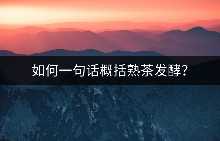 如何一句話概括熟茶發(fā)酵？