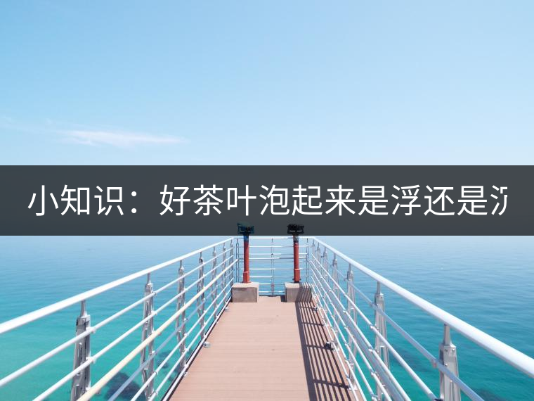 小知識(shí)：好茶葉泡起來(lái)是浮還是沉？