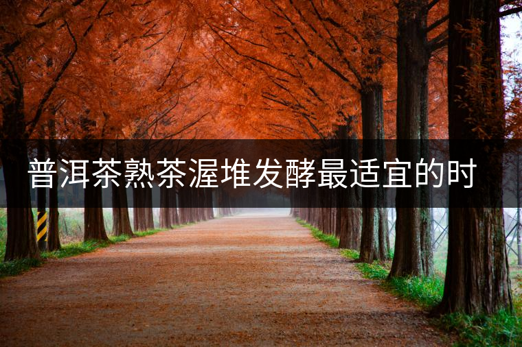 普洱茶熟茶渥堆發(fā)酵最適宜的時(shí)期是什么時(shí)候？