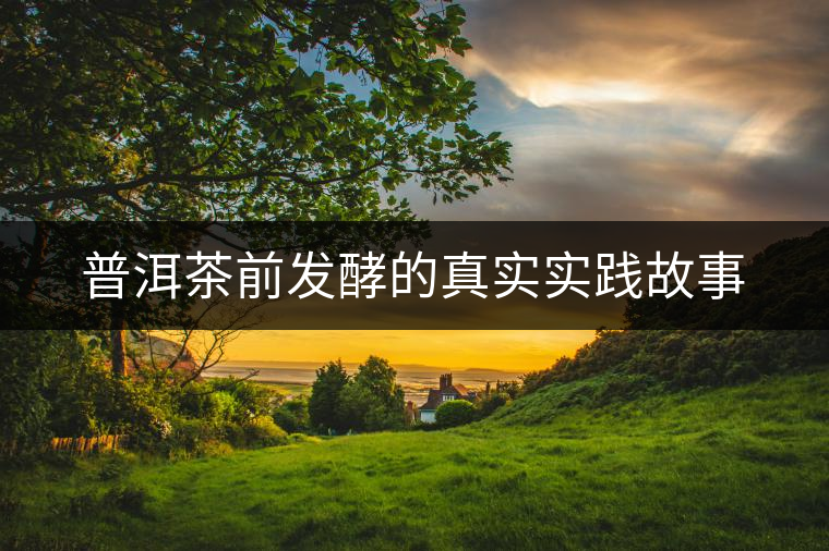 普洱茶前發(fā)酵的真實(shí)實(shí)踐故事 普洱茶前發(fā)酵的真實(shí)實(shí)踐故事