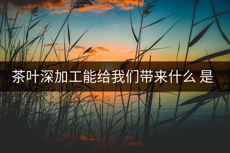 茶葉深加工能給我們帶來什么 是利還是弊呢？