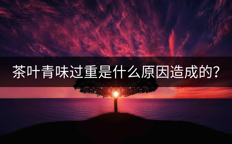 茶葉青味過重是什么原因造成的? 茶葉青味過重是什么原因造成的?