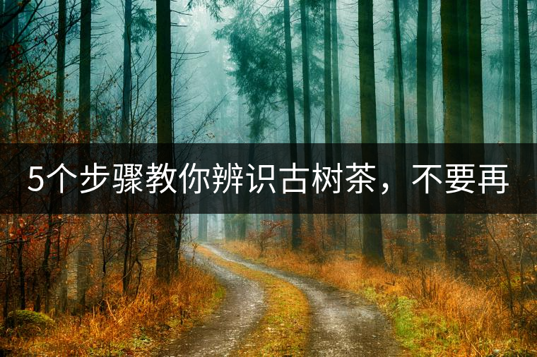 5個步驟教你辨識古樹茶，不要再被騙了！