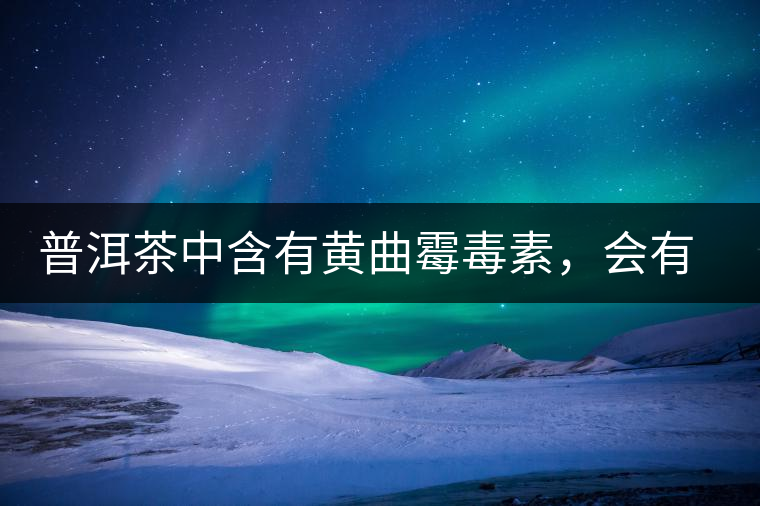 普洱茶中含有黃曲霉毒素，會(huì)有致癌的危險(xiǎn)？終于有明確的答案了