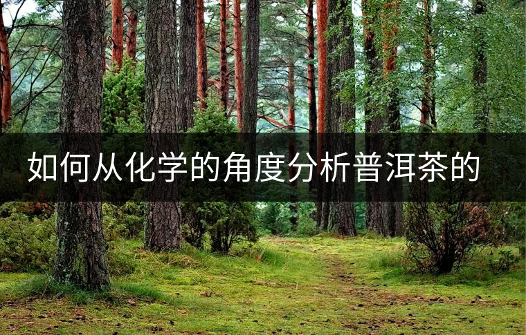 如何從化學(xué)的角度分析普洱茶的口感？