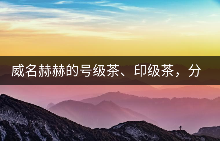 威名赫赫的號級茶、印級茶，分別是些什么普洱茶？