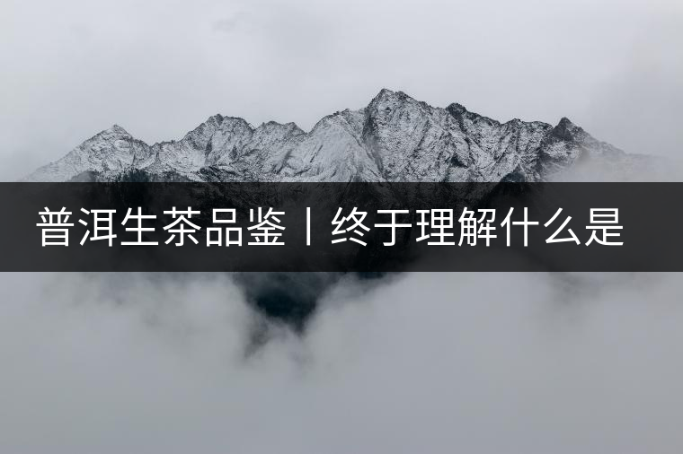普洱生茶品鑒丨終于理解什么是“醇厚、耐泡，回甘”了