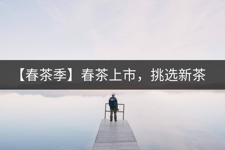 【春茶季】春茶上市，挑選新茶有講究
