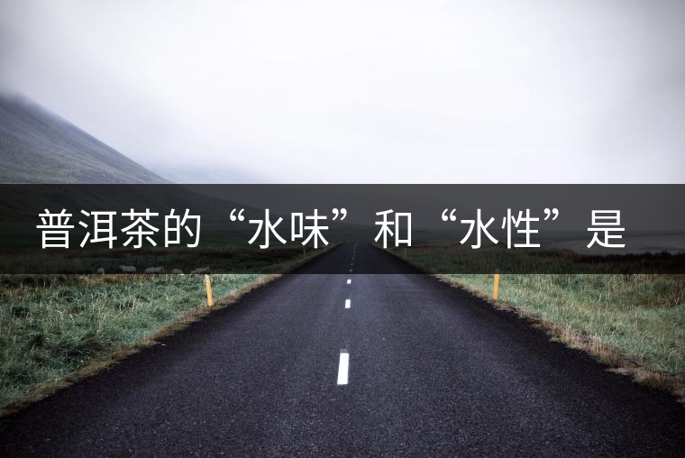 普洱茶的“水味”和“水性”是一種東西還是兩種東西？