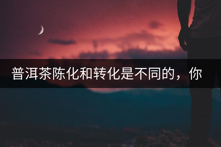 普洱茶陳化和轉(zhuǎn)化是不同的，你造嗎？
