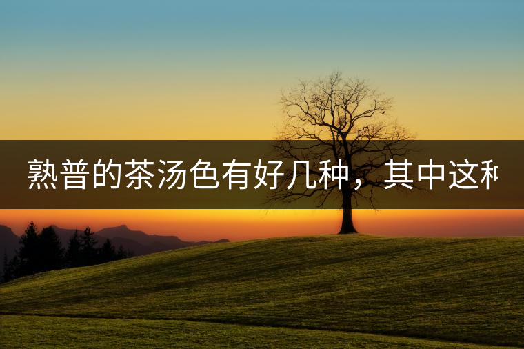 熟普的茶湯色有好幾種，其中這種不建議喝！