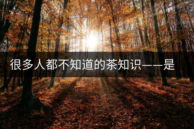 很多人都不知道的茶知識——是什么造就了普洱茶的一山一味？