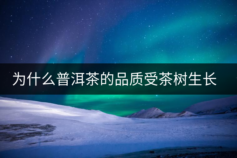 為什么普洱茶的品質(zhì)受茶樹生長環(huán)境的影響？