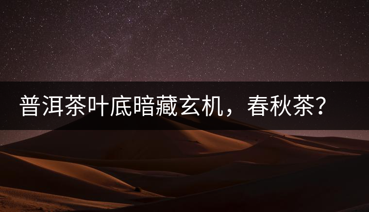 普洱茶葉底暗藏玄機(jī)，春秋茶？大樹茶？野生茶？班章料？你讀懂了嗎？