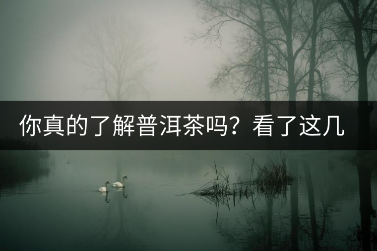 你真的了解普洱茶嗎？看了這幾個問題……