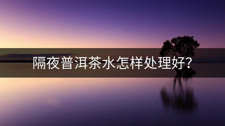 隔夜普洱茶水怎樣處理好？