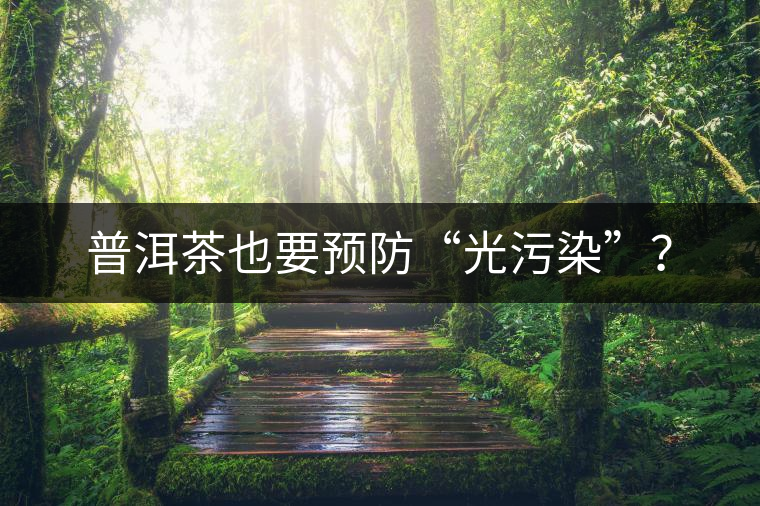 普洱茶也要預(yù)防“光污染”？