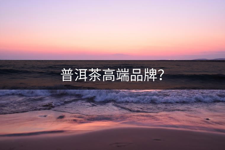 普洱茶高端品牌？