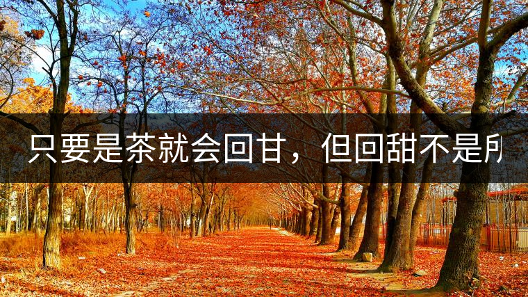 只要是茶就會(huì)回甘，但回甜不是所有茶都有！
