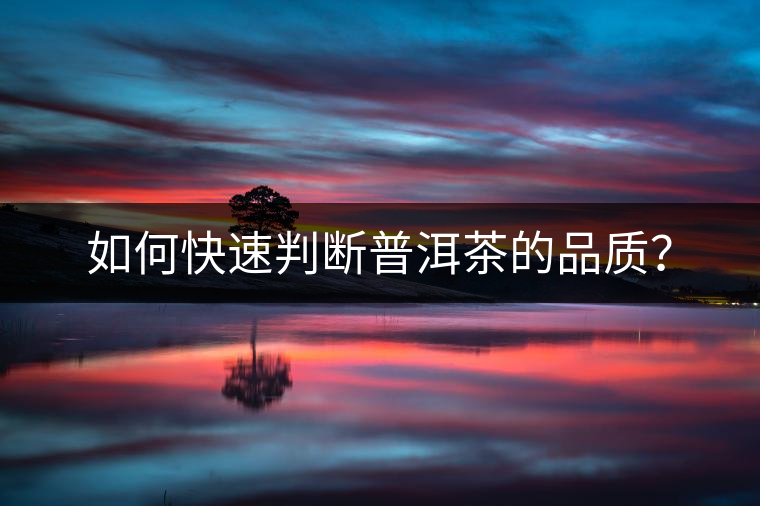 如何快速判斷普洱茶的品質？