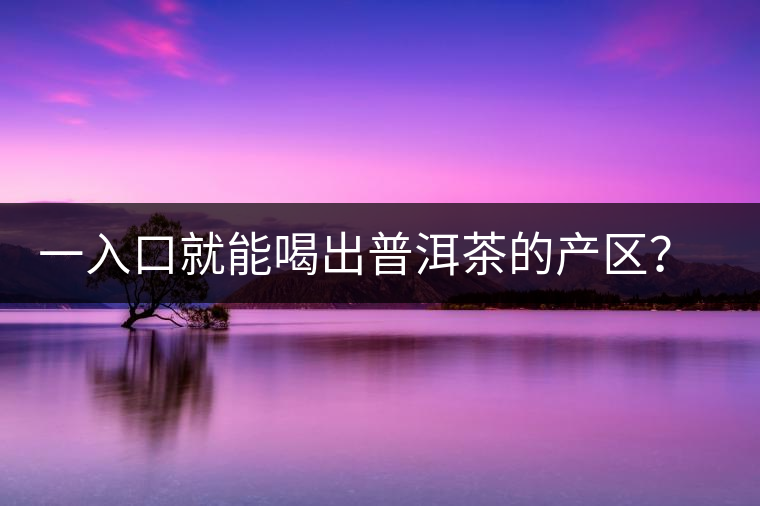 一入口就能喝出普洱茶的產(chǎn)區(qū)？怎么能不讀這篇文章呢？