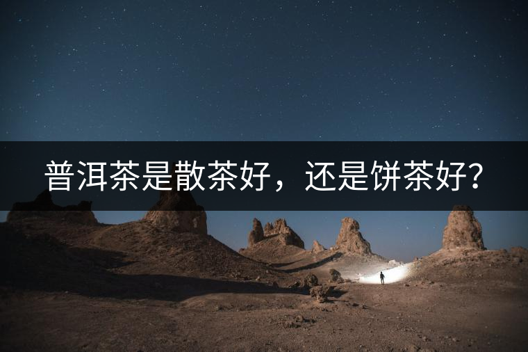 普洱茶是散茶好，還是餅茶好？