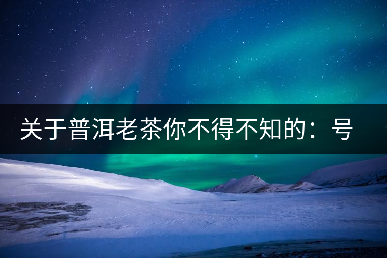 關(guān)于普洱老茶你不得不知的：號(hào)級(jí)茶、印級(jí)茶、七子餅茶