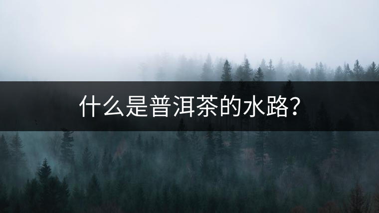 什么是普洱茶的水路？