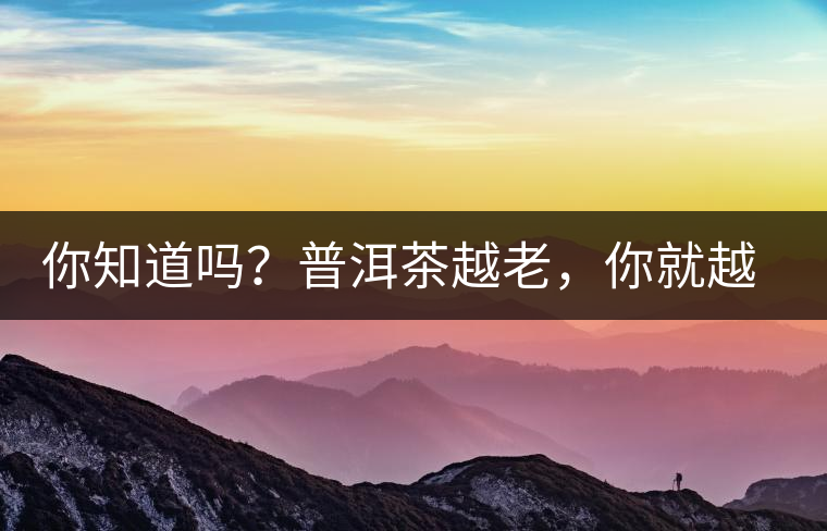 你知道嗎？普洱茶越老，你就越年輕