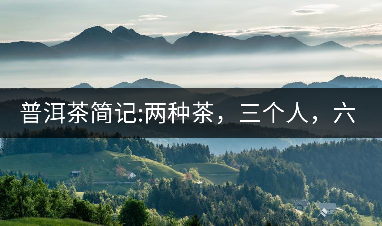 普洱茶簡記:兩種茶，三個人，六座山，七塊餅