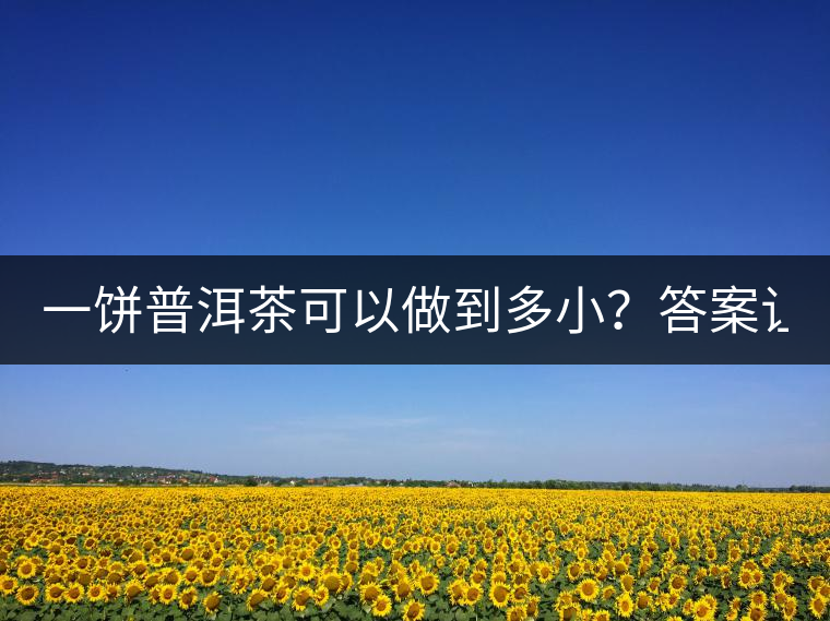 一餅普洱茶可以做到多?。看鸢缸屓艘庀氩坏?..