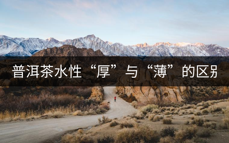 普洱茶水性“厚”與“薄”的區(qū)別！