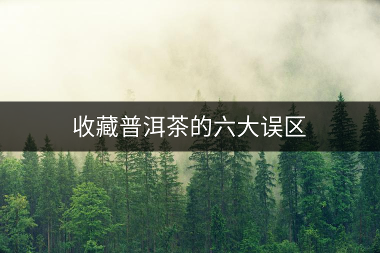 收藏普洱茶的六大誤區(qū) 收藏普洱茶的六大誤區(qū)