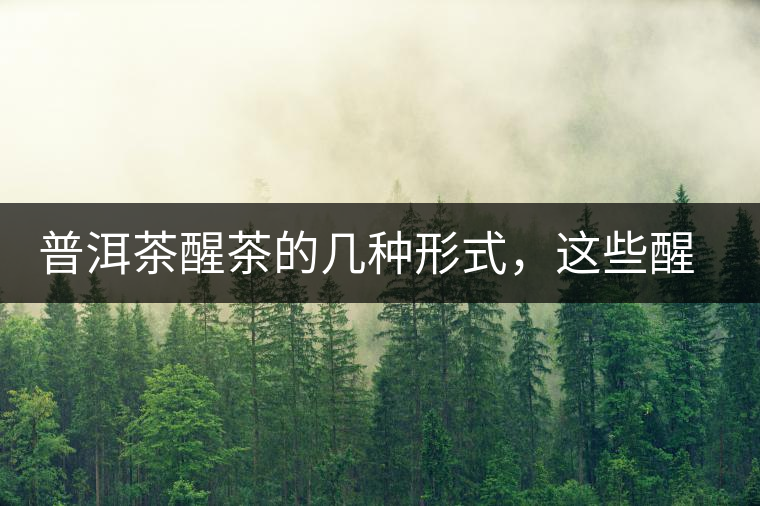 普洱茶醒茶的幾種形式，這些醒茶方法你都會了嗎？