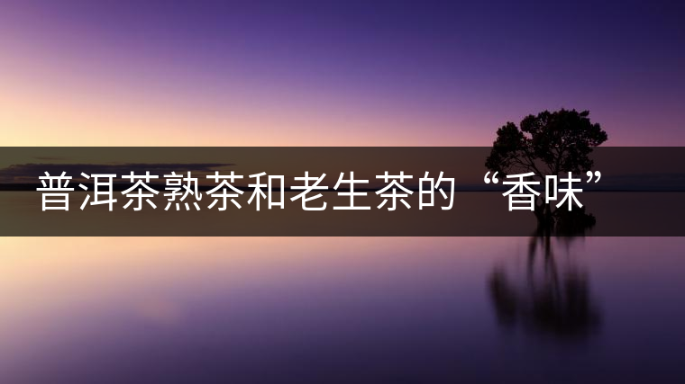 普洱茶熟茶和老生茶的“香味”解析 普洱茶熟茶和老生茶的“香味”解析