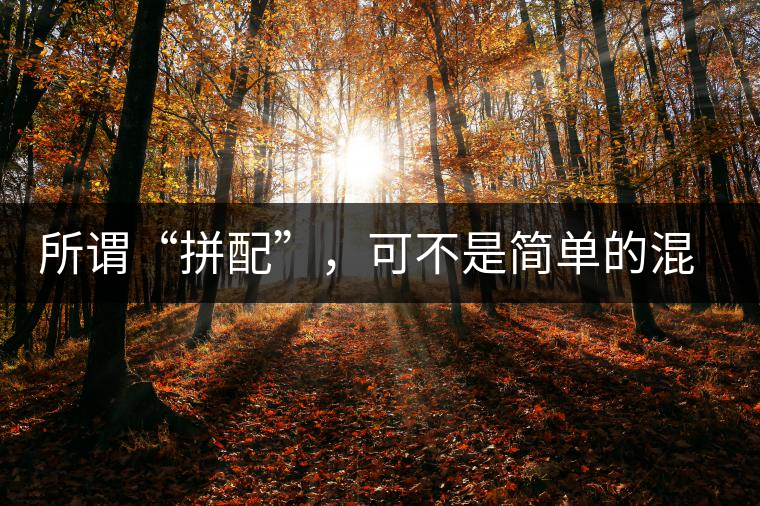 所謂“拼配”，可不是簡(jiǎn)單的混搭