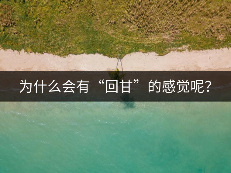 為什么會有“回甘”的感覺呢？