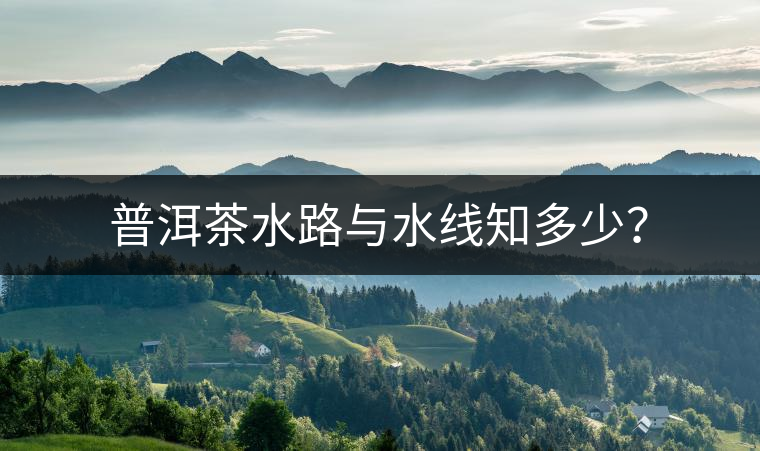 普洱茶水路與水線知多少？